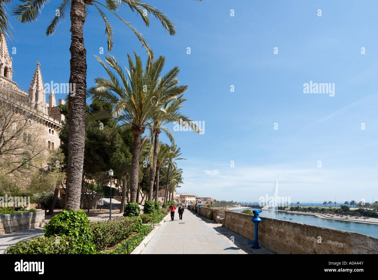 Promenade entlang der alten Stadtmauern vor Kathedrale und neben Parc De La Mar, Palma, Mallorca, Balearen, Spanien Stockfoto