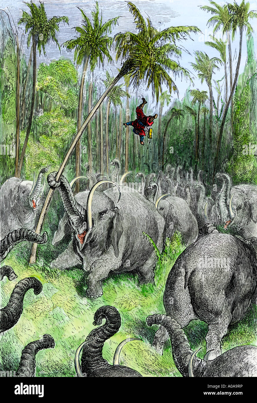 In gefahr Sinbad unter den Elefanten in eine Geschichte aus 1001 Nacht. Hand - farbige Holzschnitt Stockfoto