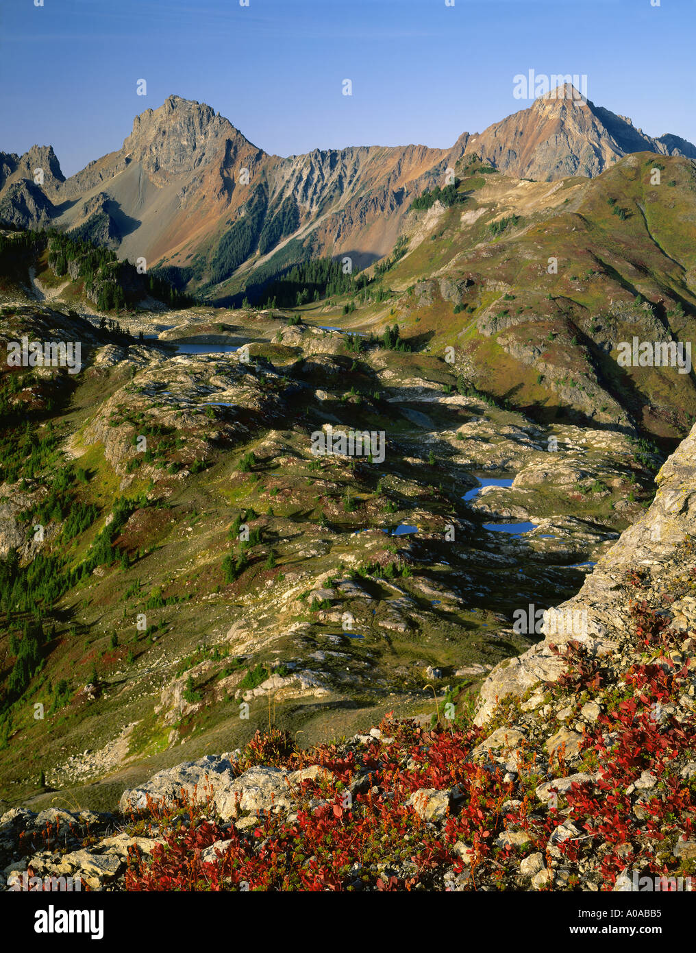 Blick über gelbe Aster Butte, die Amerikaner / kanadischen Grenze Gipfel Mt Baker Wildnis Bereich Washington State Stockfoto