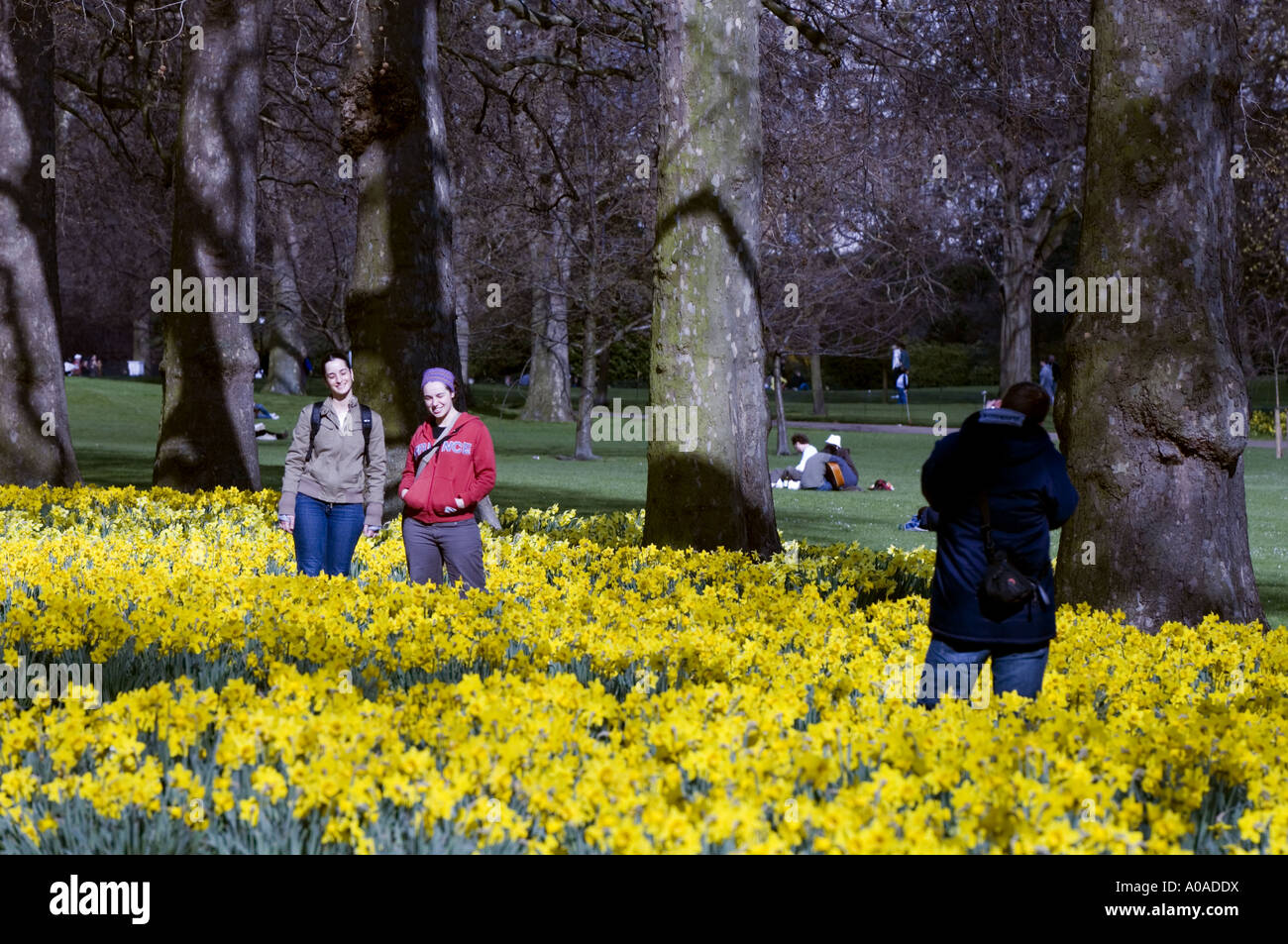 St. James Park, London, England, Vereinigtes Königreich Stockfoto