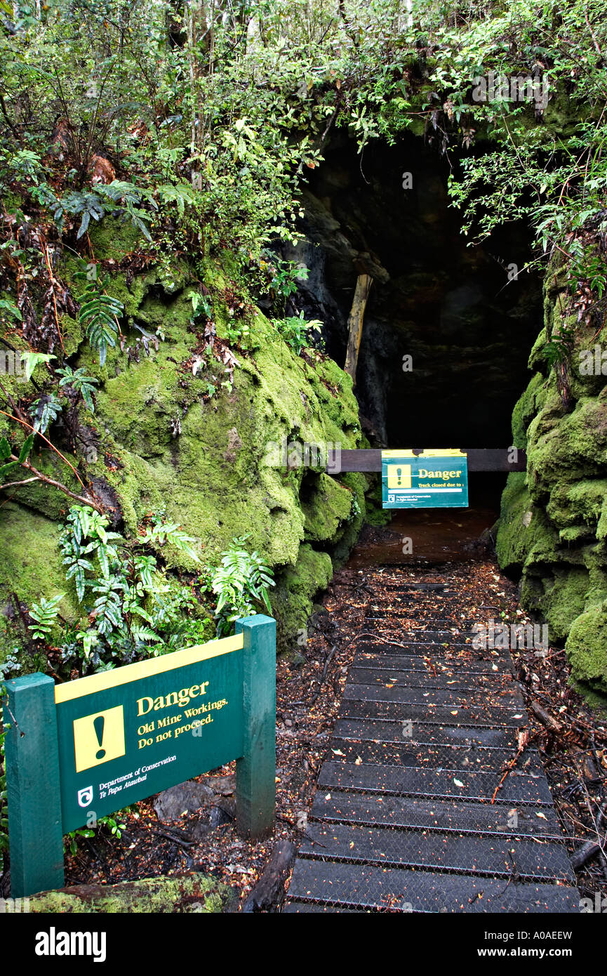 Alborns Mine Kohle Spaziergang, Victoria Waldpark, Reefton, Südinsel, Neuseeland Stockfoto