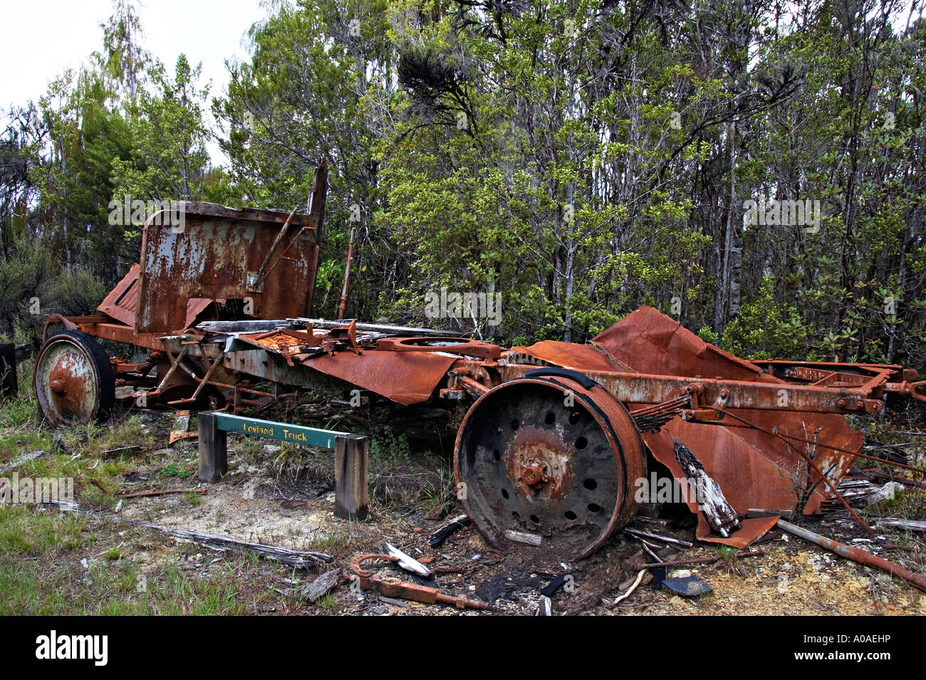 Alborns Mine Kohle Spaziergang, Victoria Waldpark, Reefton, Südinsel, Neuseeland Stockfoto