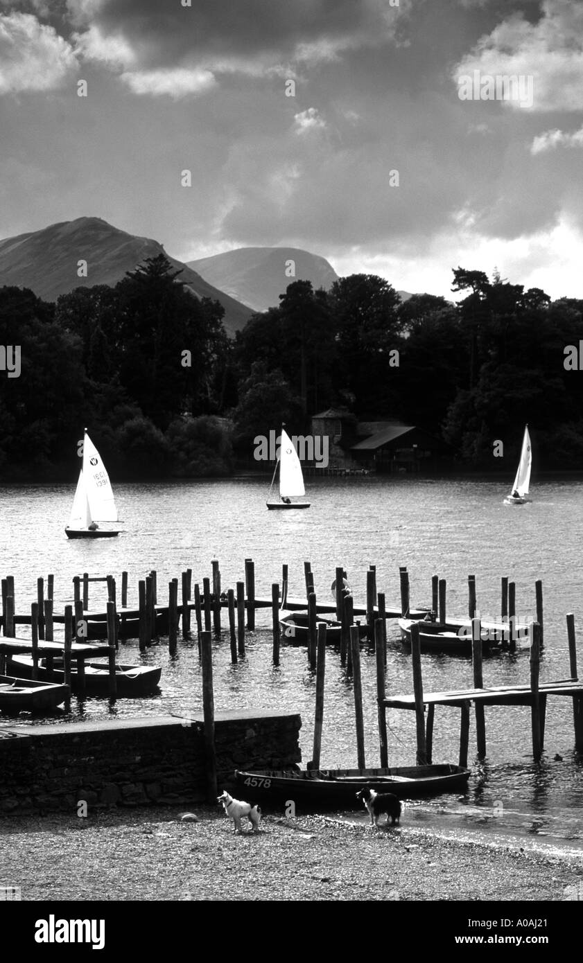 Boote auf Derwentwater Seenplatte mit Derwent Insel hinter mono schwarz / weiß Stockfoto