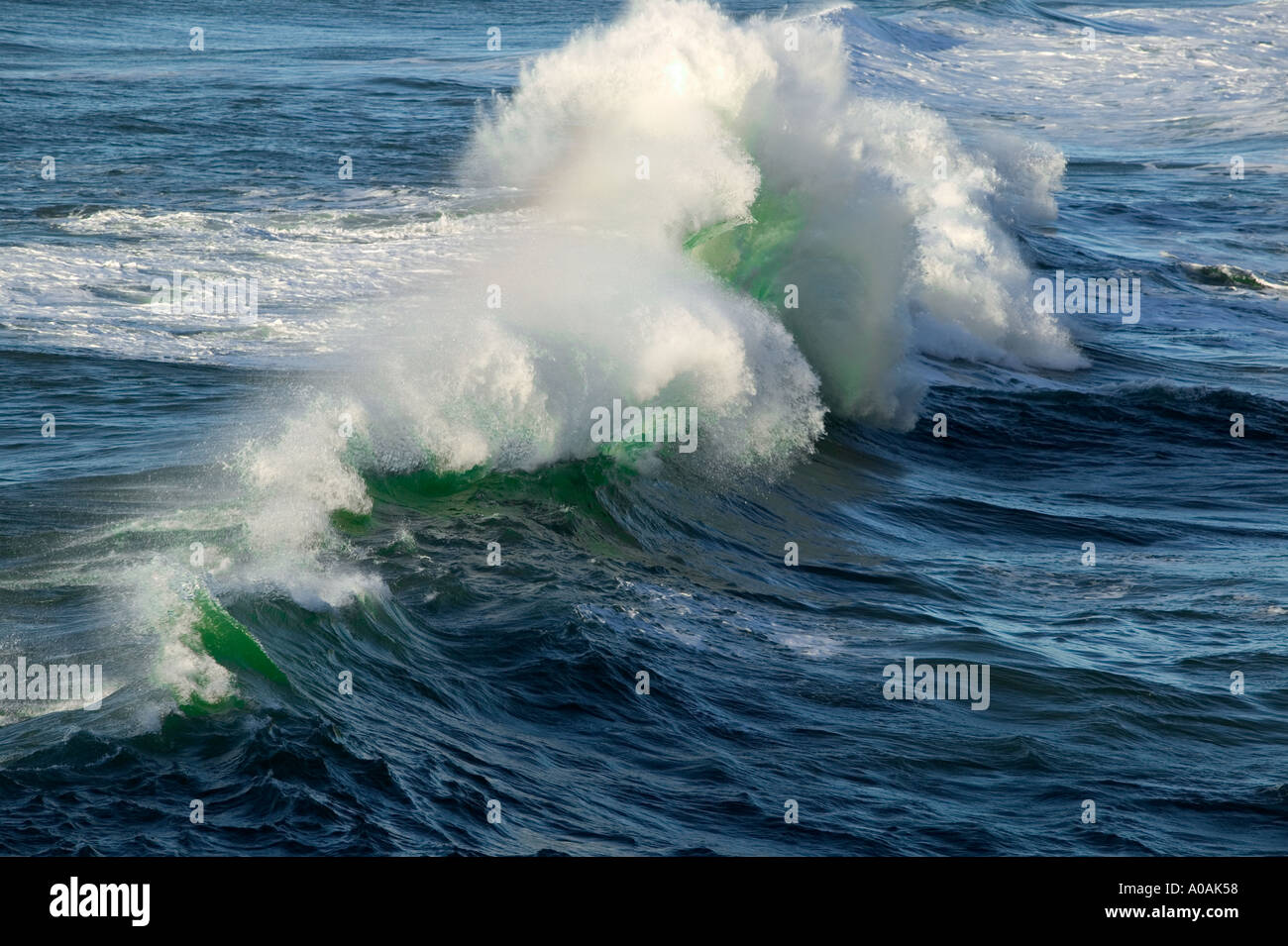 Sturm-Welle vor Cape Kiwanda Oregon Stockfoto