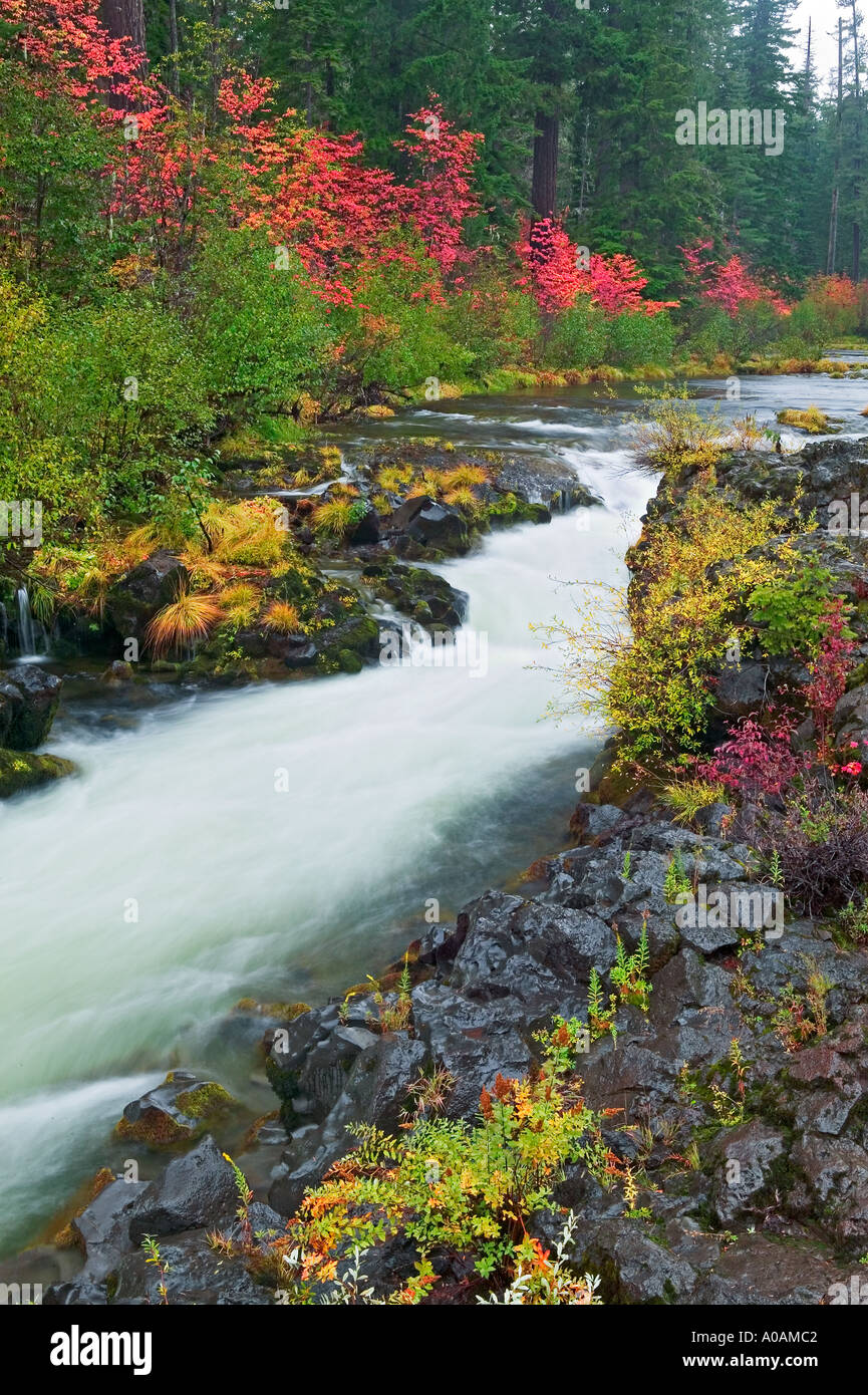 Rogue River und fallen Farbe Wild Rogue River und Scenic River Oregon Stockfoto