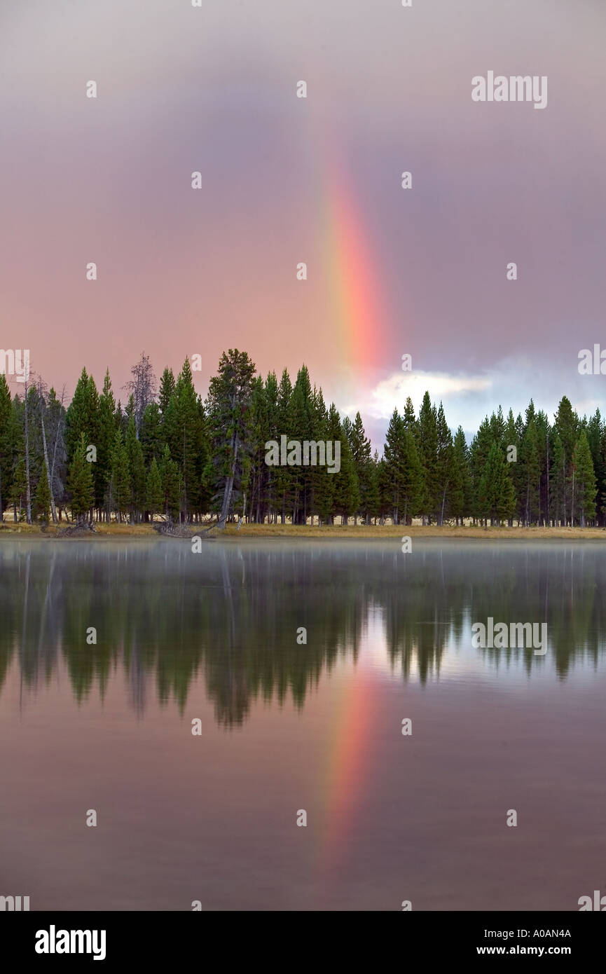 Regenbogen spiegelt sich in Yellowstone River Yellowstone Nationalpark, Wyoming Stockfoto