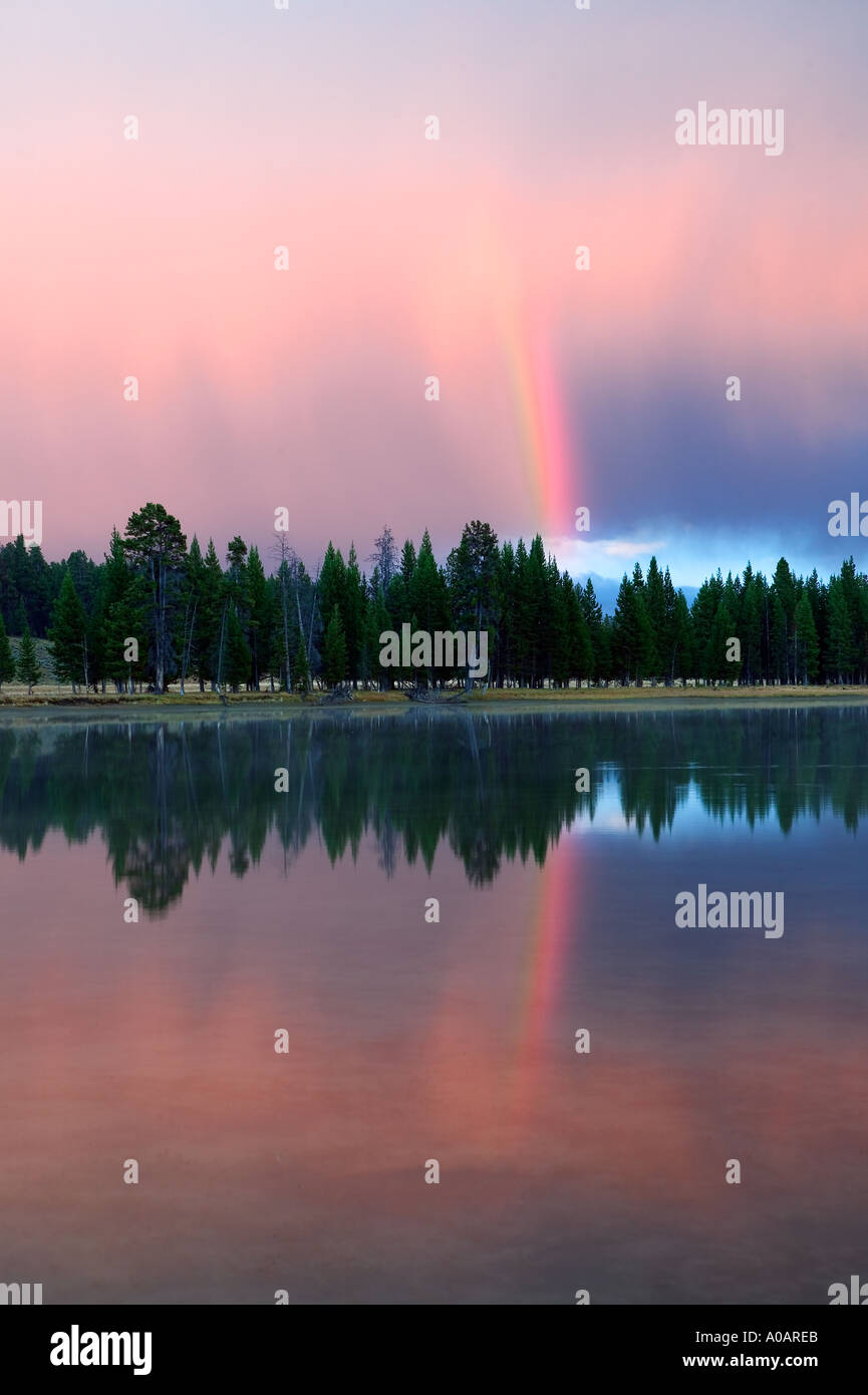 Regenbogen spiegelt sich in Yellowstone River und Regen Yellowstone-Nationalpark, Wyoming Stockfoto