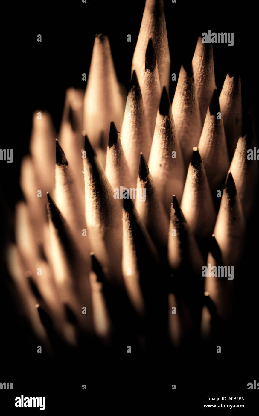 Haufen von Bleistiften Stockfoto