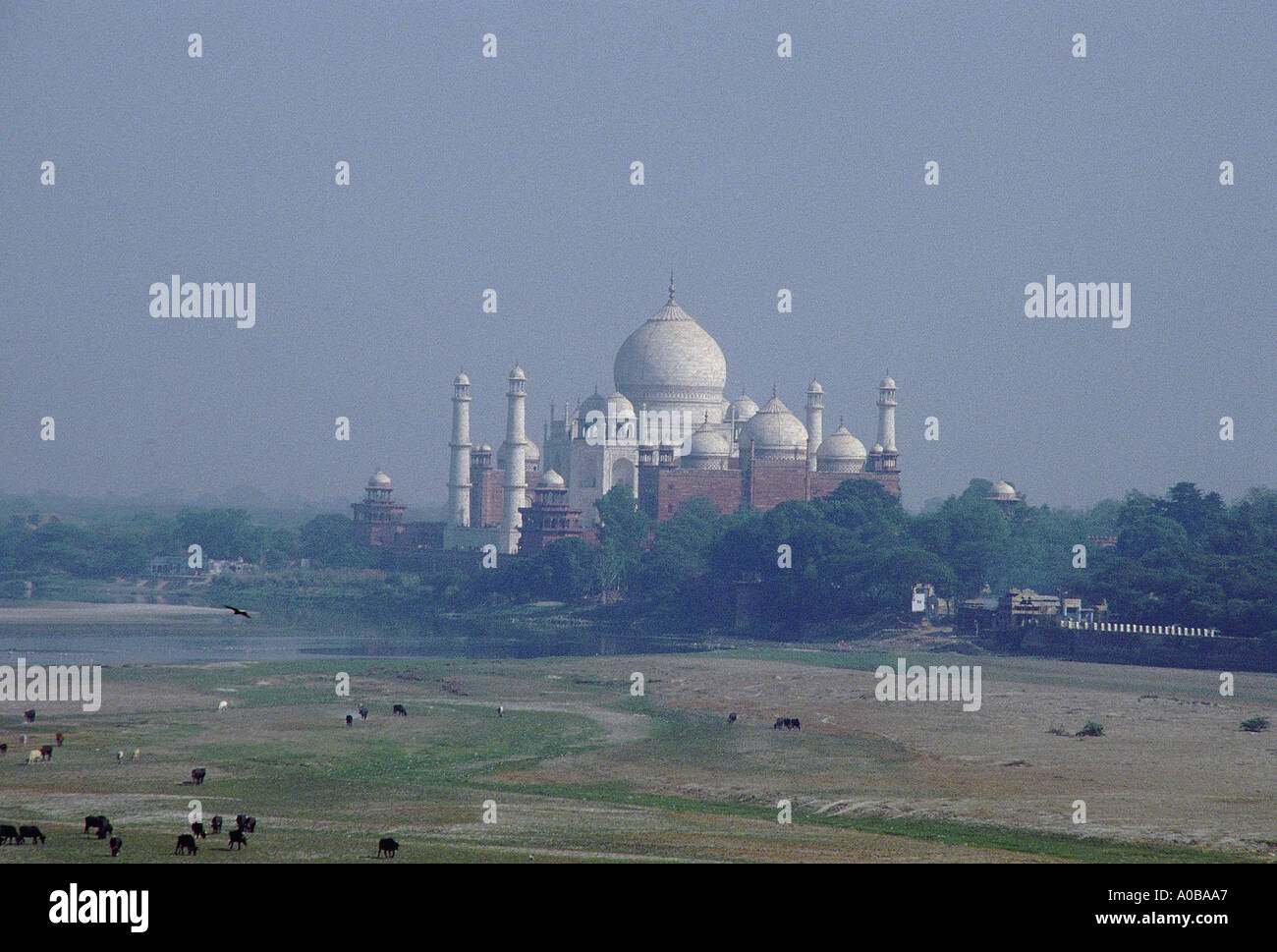 Blick auf das Taj Mahal aus dem Agra Fort. Agra, Uttar Pradesh, Indien, UNESCO-Weltkulturerbe. Stockfoto