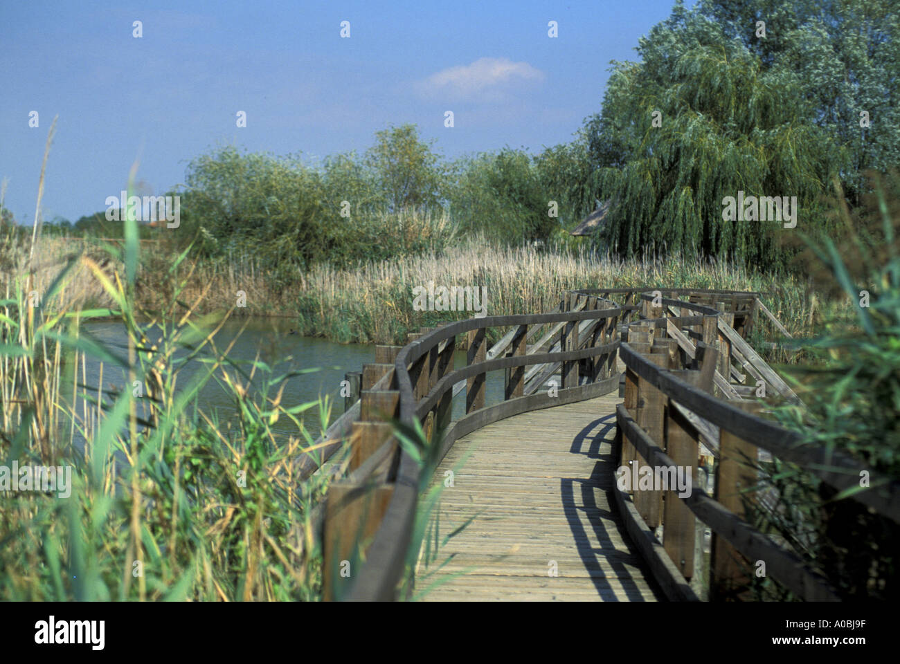 Naturschutzgebiet von der Mündung des Flusses Marano Lagunare Friaul-Julisch Venetien Italien Stella Stockfoto