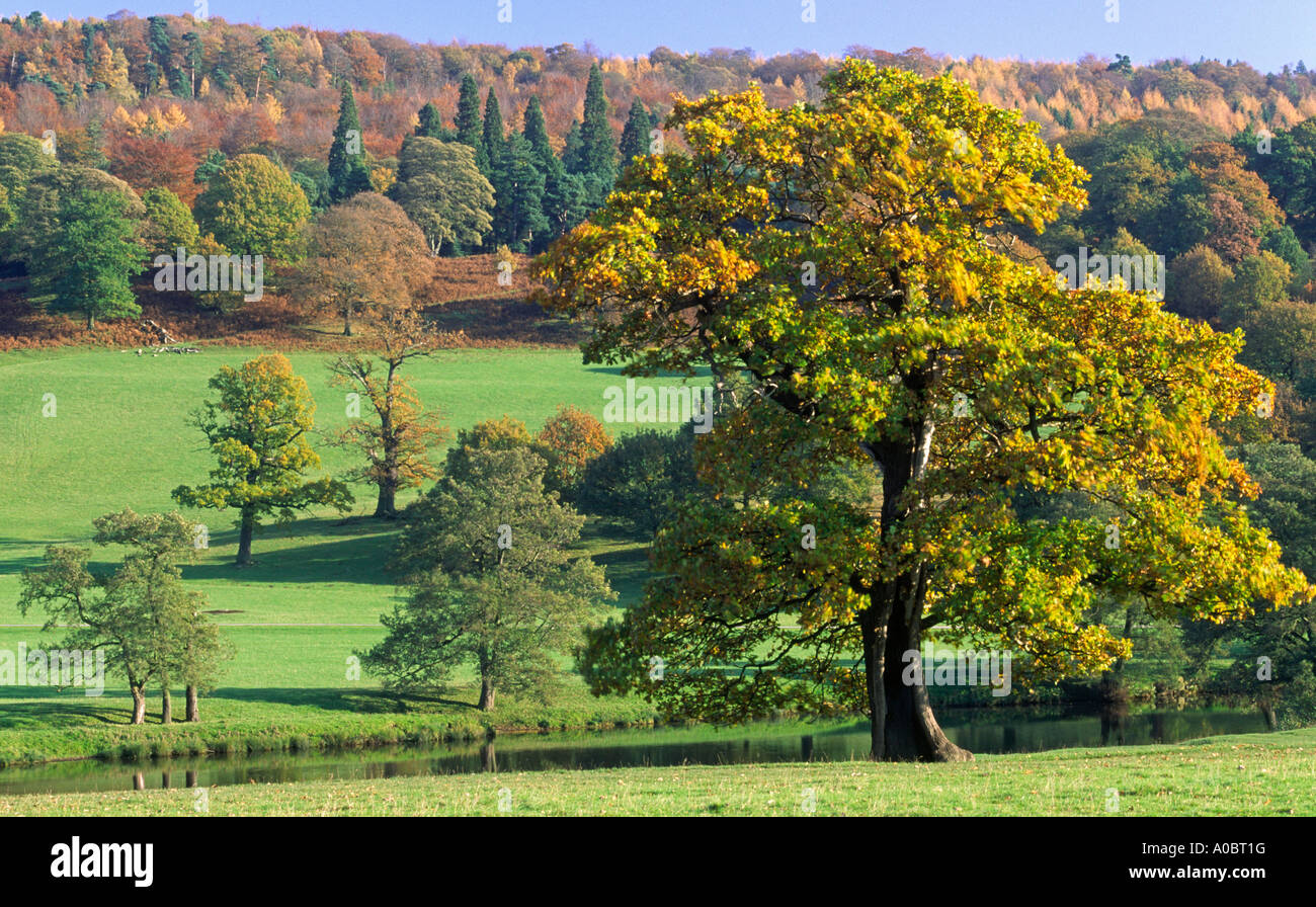 Ansicht des angelegten Garten Chatsworth House in Derbyshire Peak District England Stockfoto