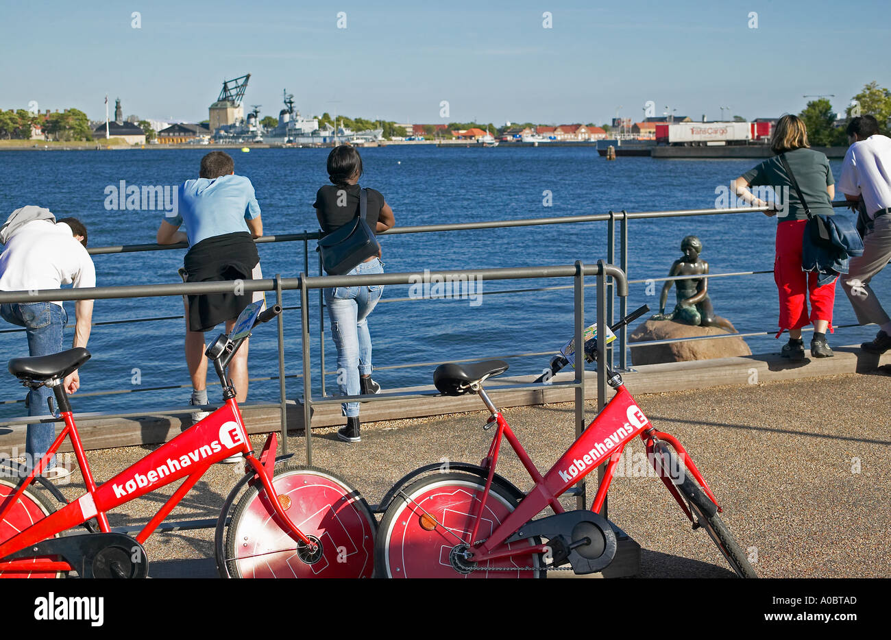 Rot vermietet Fahrräder und Touristen auf der Suche auf die Statue der kleinen Meerjungfrau, Kopenhagen, Dänemark Stockfoto