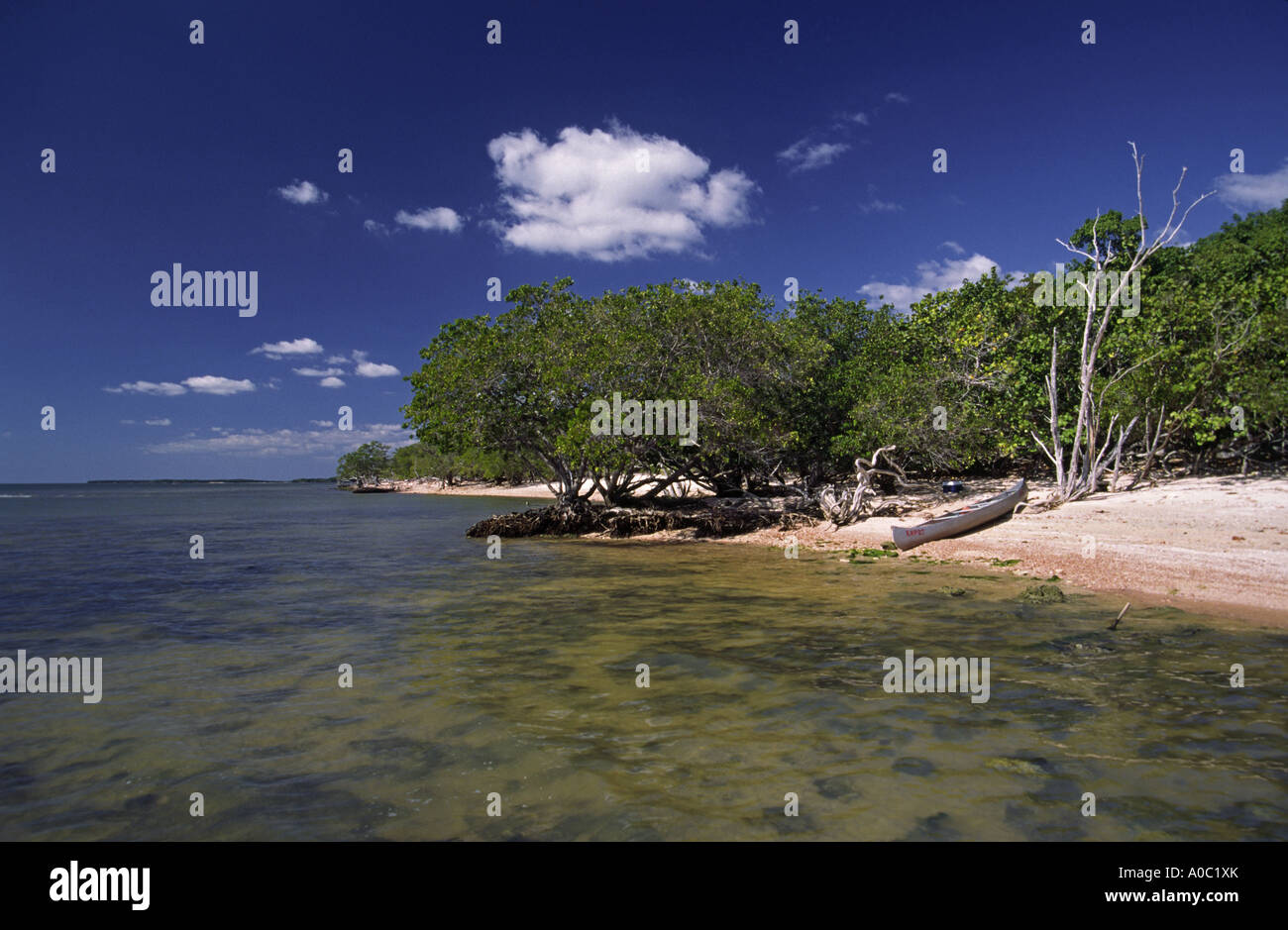 Strand bei Juwel Key, Ten Thousand Islands Bereich, Everglades Nat Park, Florida, USA Stockfoto