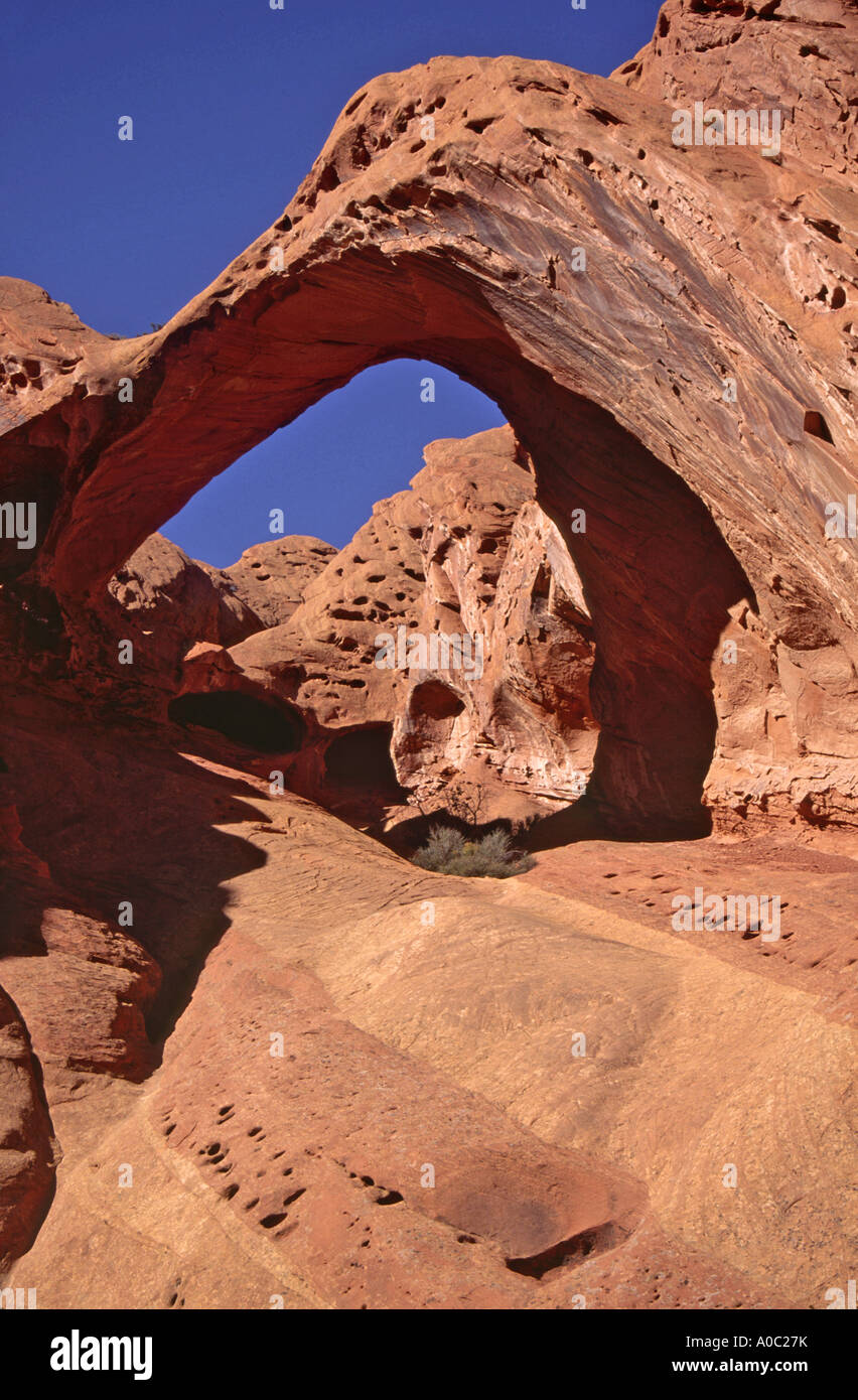 Sattel-Bogen am oberen Alternativsäge Twist Canyon in Waterpocket Fold, Capitol Reef Nat Park, Utah, USA Stockfoto