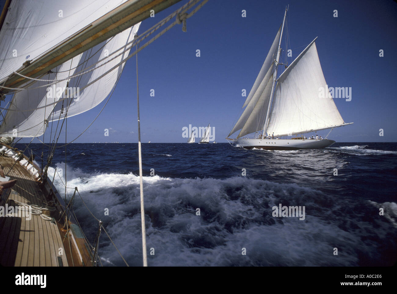 Segelboote Rennen von Antigua Stockfoto