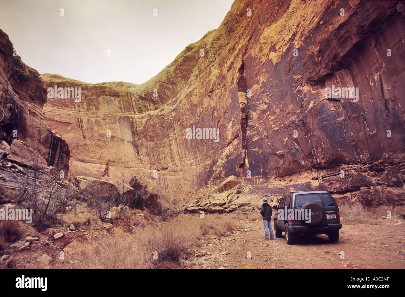 Black Dragon Canyon in der Nähe von Black Dragon Piktogramm Panel, San Rafael Swell, Utah, USA Stockfoto