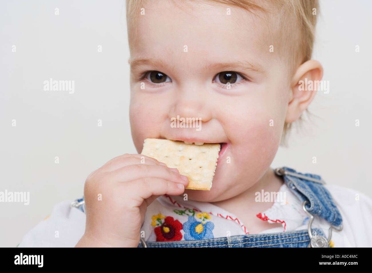 Weiblichen Kleinkind einen Cracker Essen Stockfoto