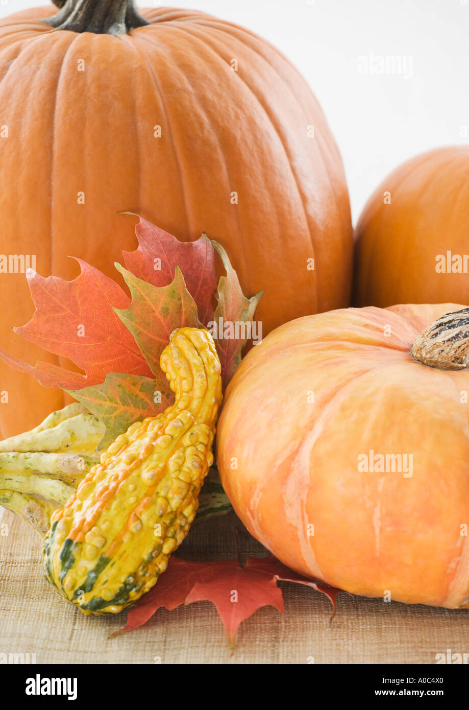 Stillleben mit Kürbissen und Herbst Blätter Stockfoto