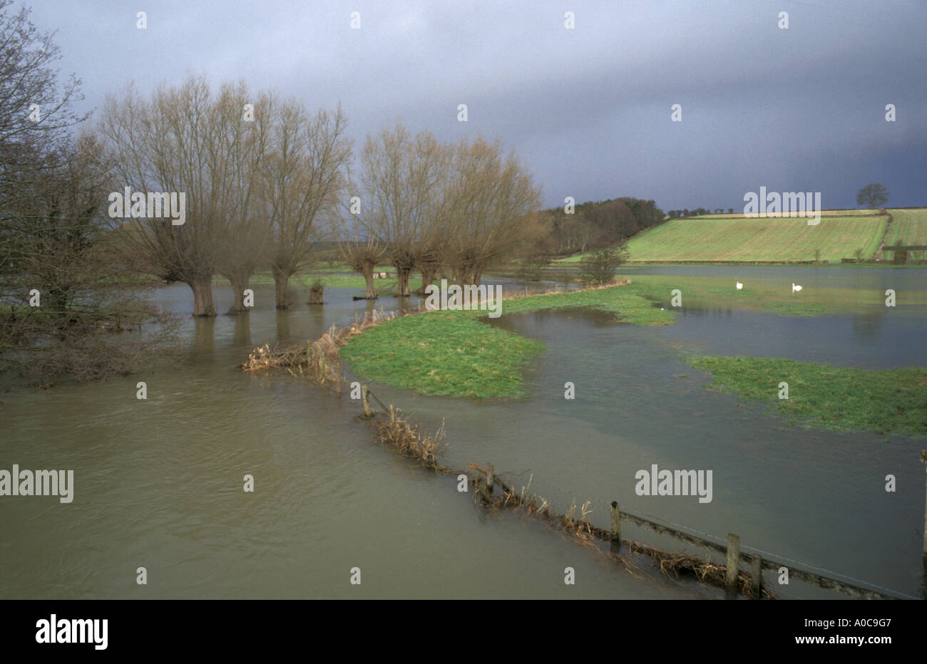 Windrush Tal überflutet, in der Nähe von Whitney in Oxfordshire-England Stockfoto