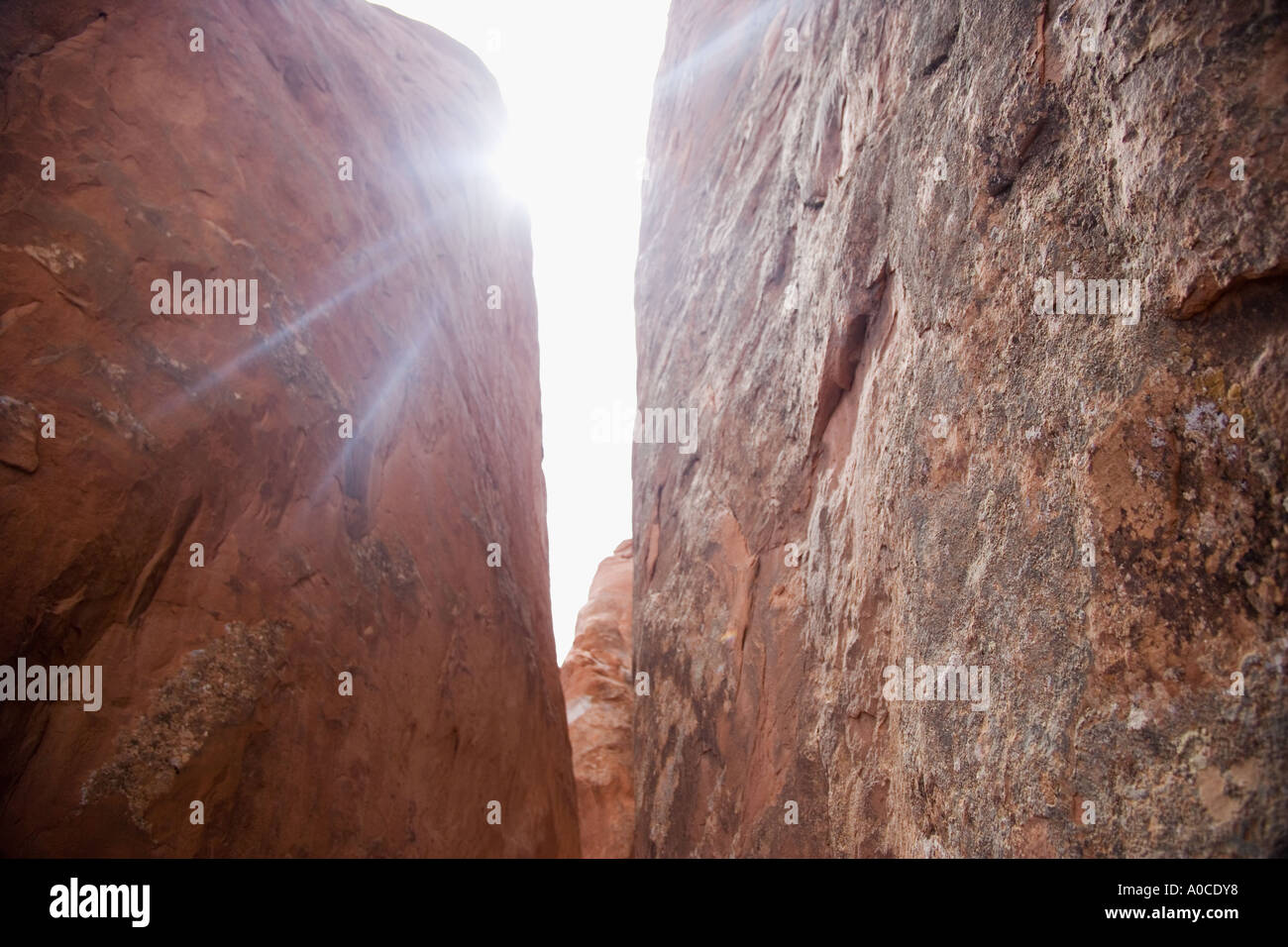 Roten Felsen an der Arches-Nationalpark Moab Utah USA Stockfoto