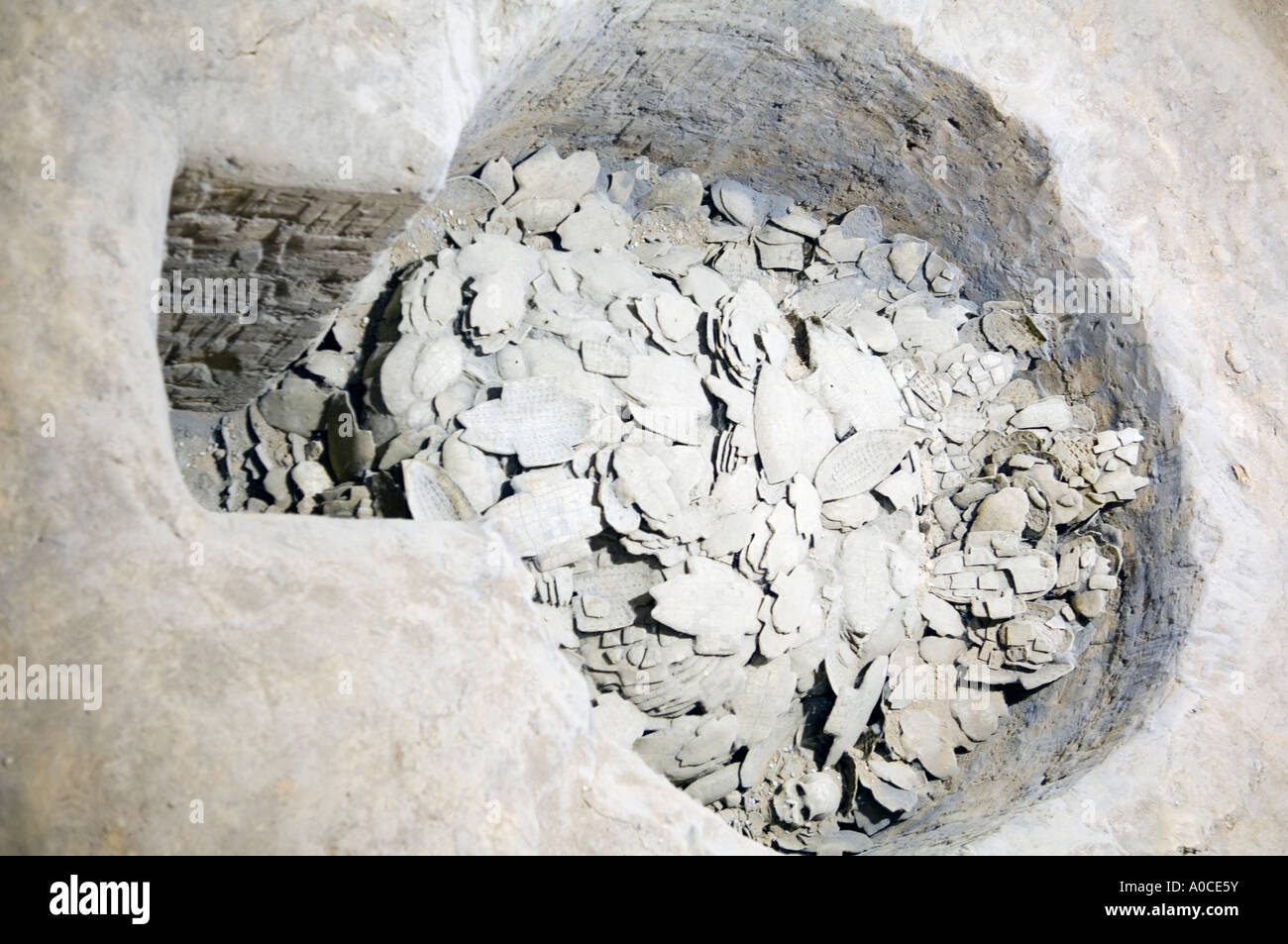 Beschriftete Oracle Knochen aus der Shang-Dynastie in Yinxu-Stadt, Provinz Henan, China Stockfoto Beschriftete Oracle Knochen aus der Shang-Dynastie in Yinxu-Stadt, Provinz Henan, China Stockfoto
