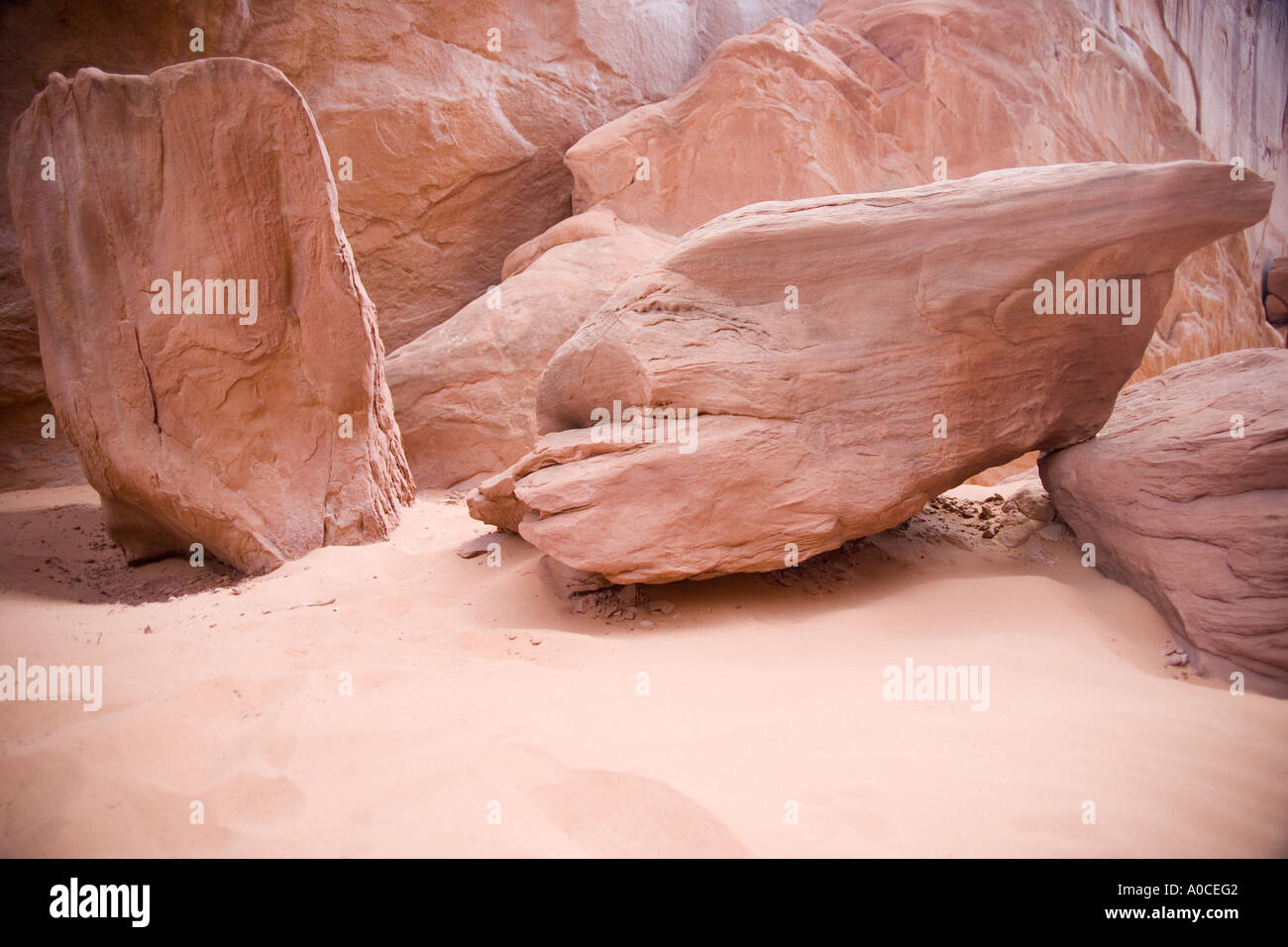 Roten Felsen im Arches-Nationalpark Moab Utah USA Stockfoto
