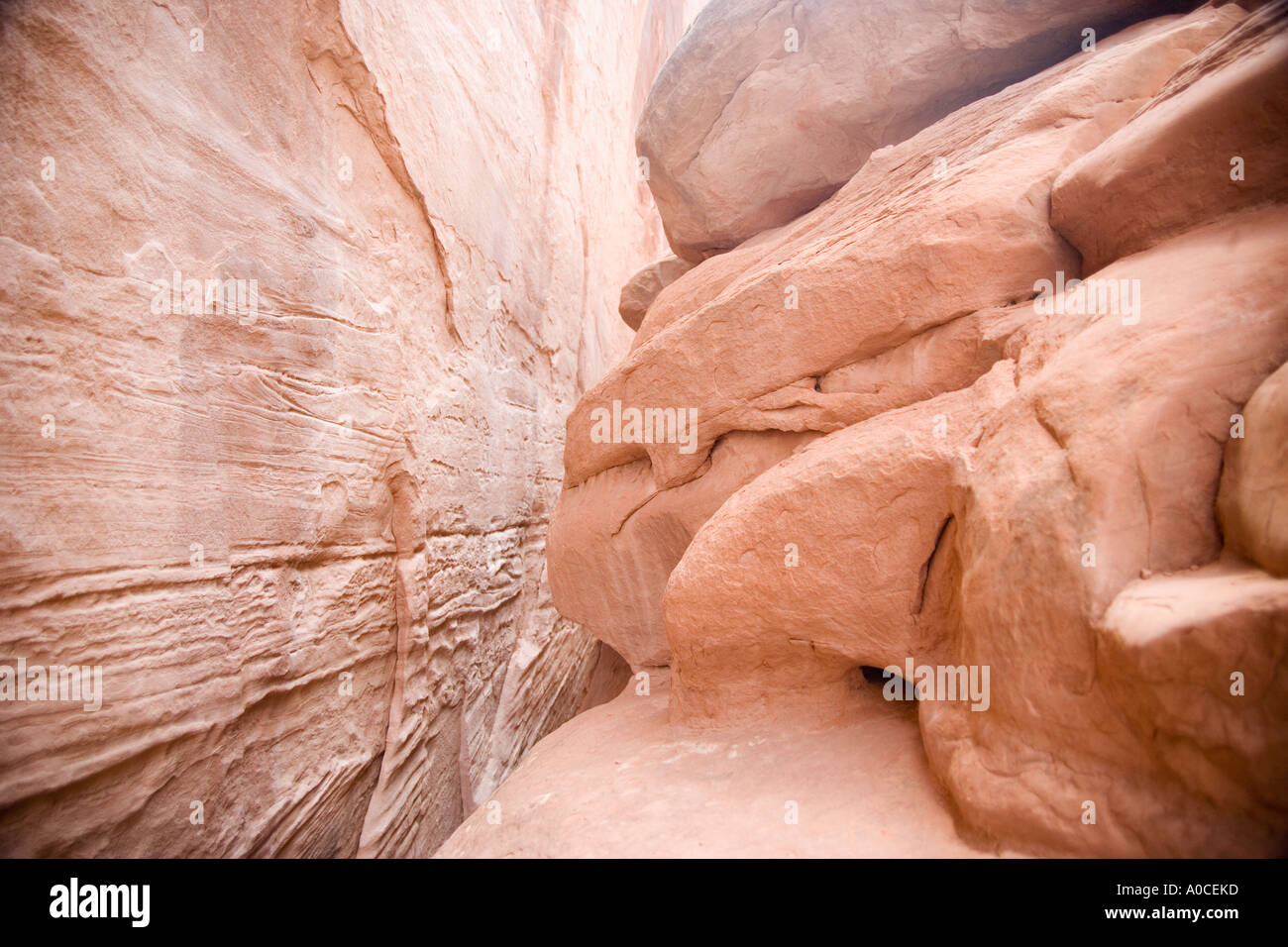 Roten Felsen an der Arches-Nationalpark Moab Utah USA Stockfoto