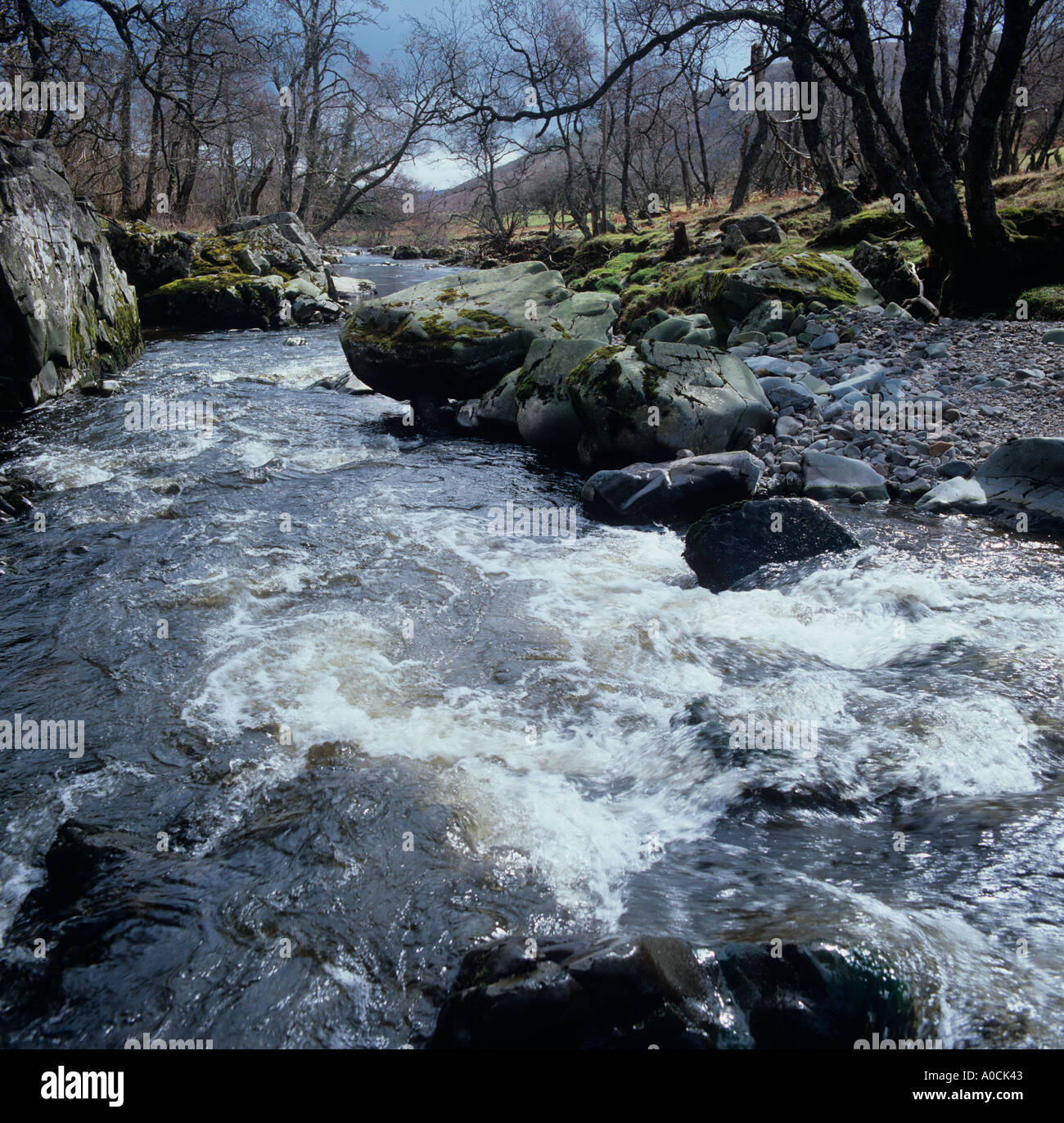 Scaur Glen Penpont Dumfries Schottland, Vereinigtes Königreich Stockfoto