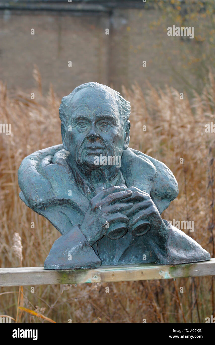 Skulptur von Sir Peter Scott, der Gründer der Wildvogel und Feuchtgebiete Vertrauen Stockfoto