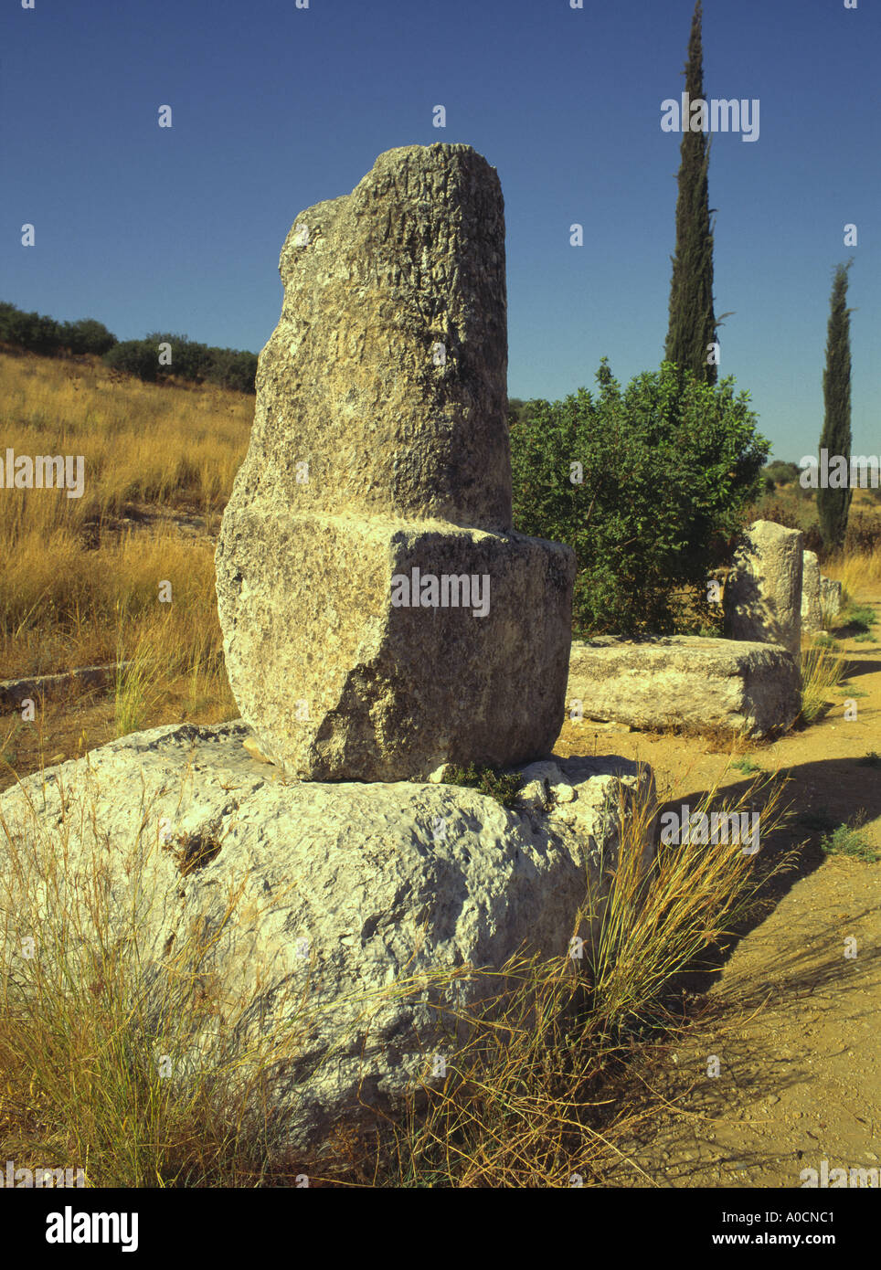 Israel Ela Tal Archäologie römischer Meilenstein auf der alten Straße von Ashkelon, Jeruaslem Stockfoto