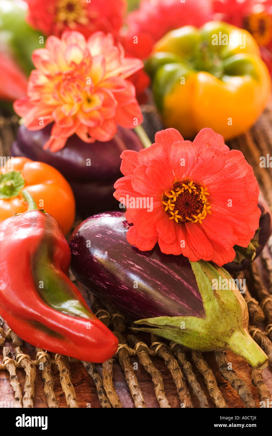 Zinnien und buntem Gemüse auf einem Zweig-Matte. Stockfoto
