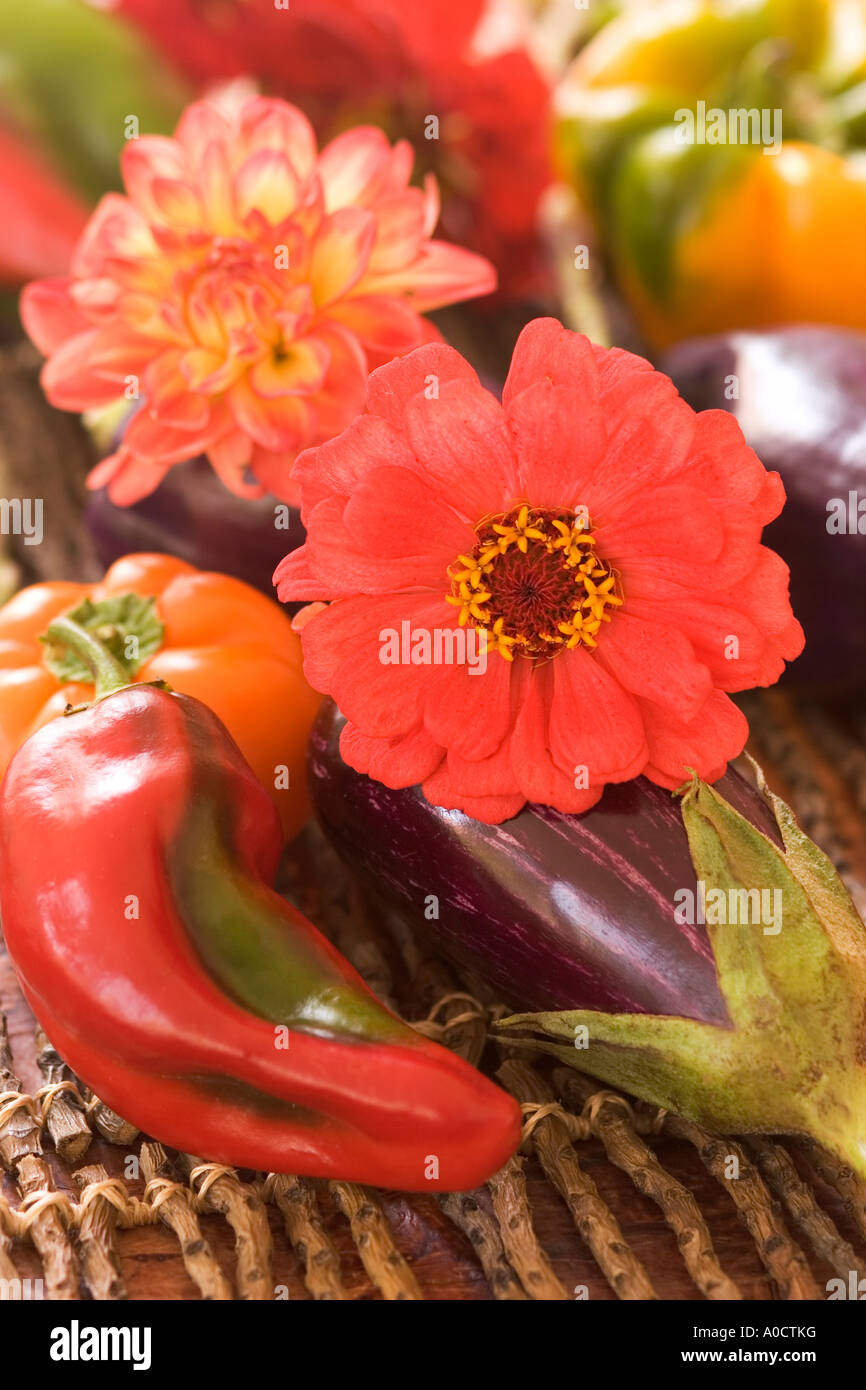 Zinnien und buntem Gemüse auf einem Zweig-Matte. Stockfoto
