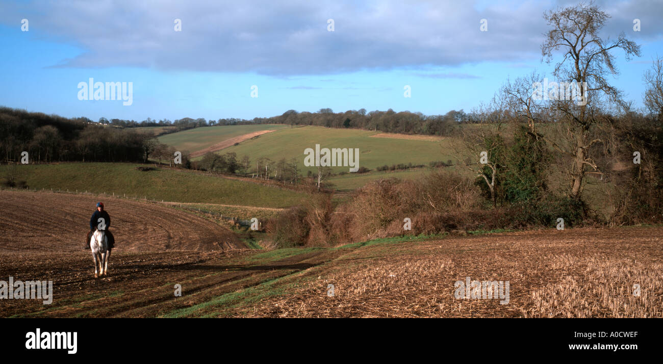 Panorama-Landschaft der Grafschaft Kent im Winter mit Pferd und Reiter Biggin Hill England UK Stockfoto