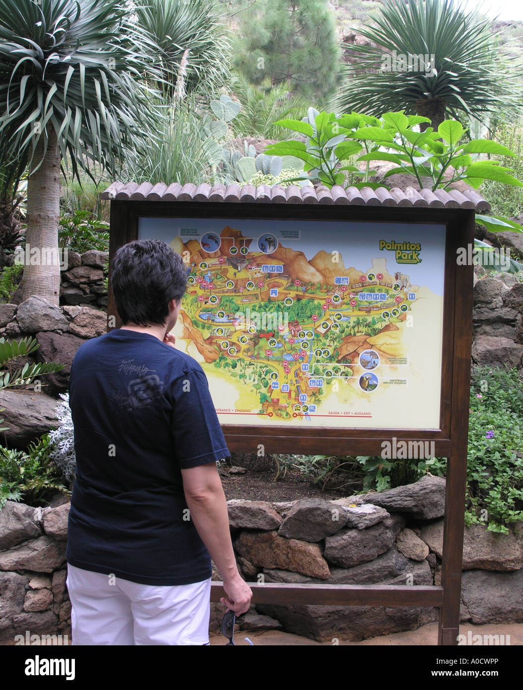 Frau liest Parkplan im Palmitos Park Gran canaria Stockfoto