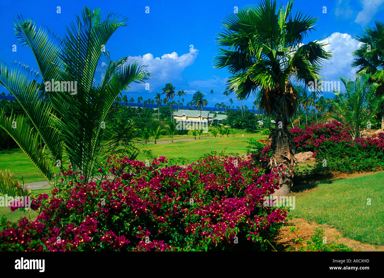 Nevis St. Kitts Four Seasons Resort Stockfoto