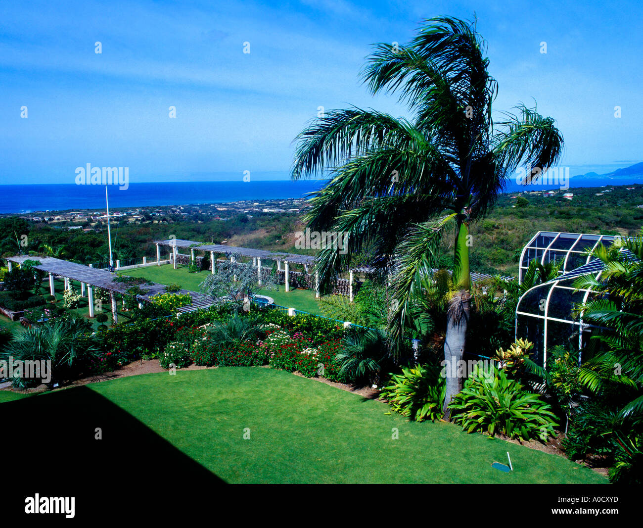 Nevis St. Kitts Botanischer Garten Stockfoto