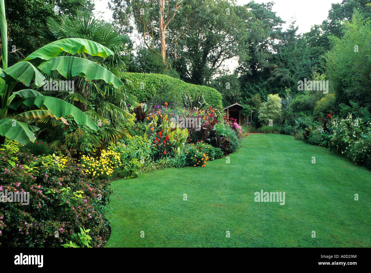 SUBTROPISCHE PFLANZEN MIT PERFEKTEN RASEN IN DORSET KNOLL GARTEN MIT