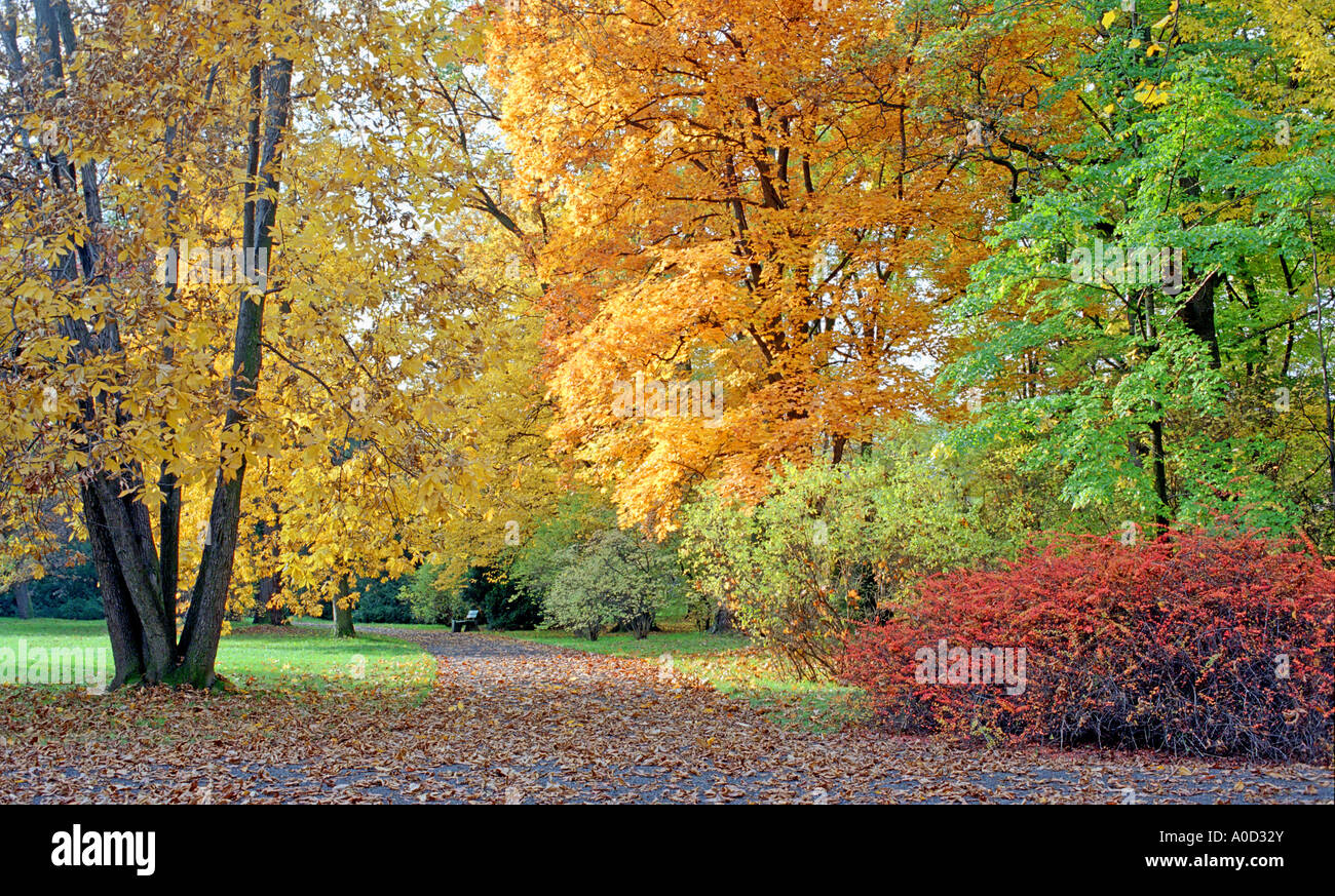 Herbstliche Farben Farben Stockfoto