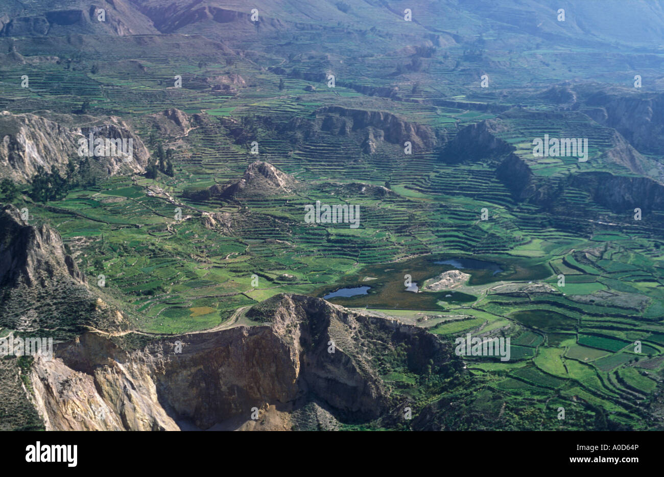 Antiken Terrassierungen Colca Canyon Peru Stockfoto