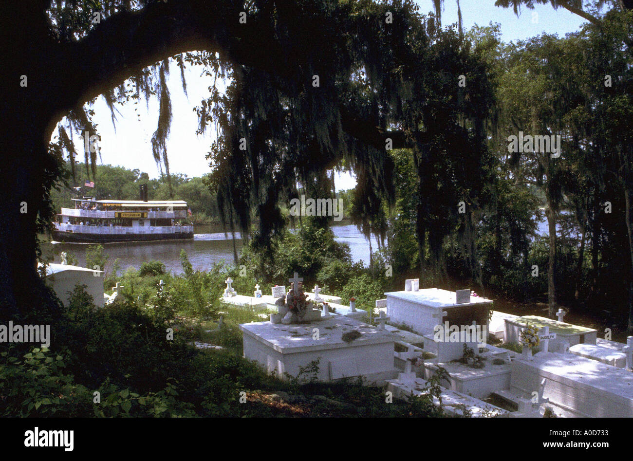 Swamp Tour New Orleans La Stockfoto