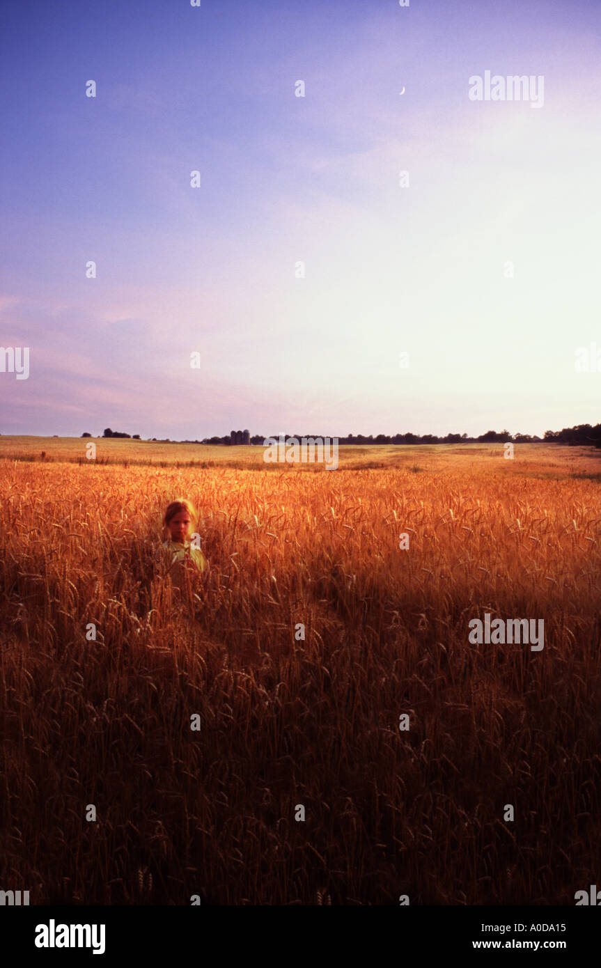 Kind im Weizenfeld in der Abenddämmerung Morgendämmerung stehen Stockfoto