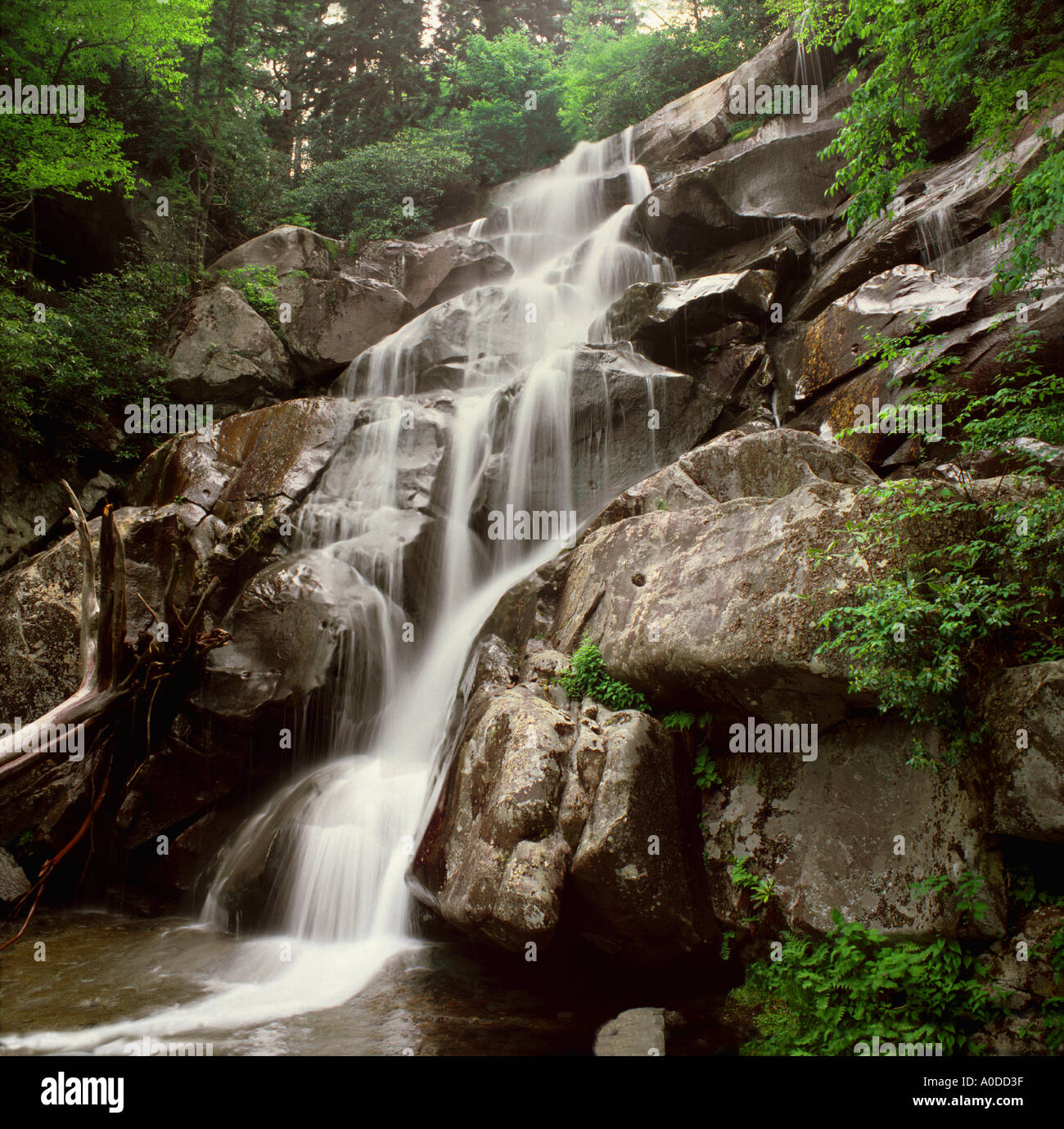 Ramsey-Kaskaden-Wasserfall in The Great Smoky Mountains National Park Tennessee Stockfoto