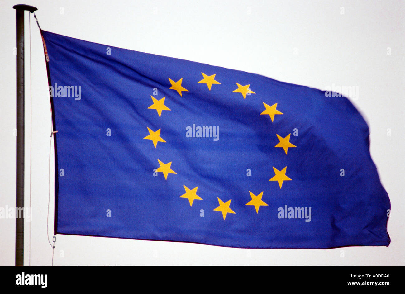 Europa Flagge Stern Sterne Blau Gelb Weht Im Wind Stockfotografie Alamy