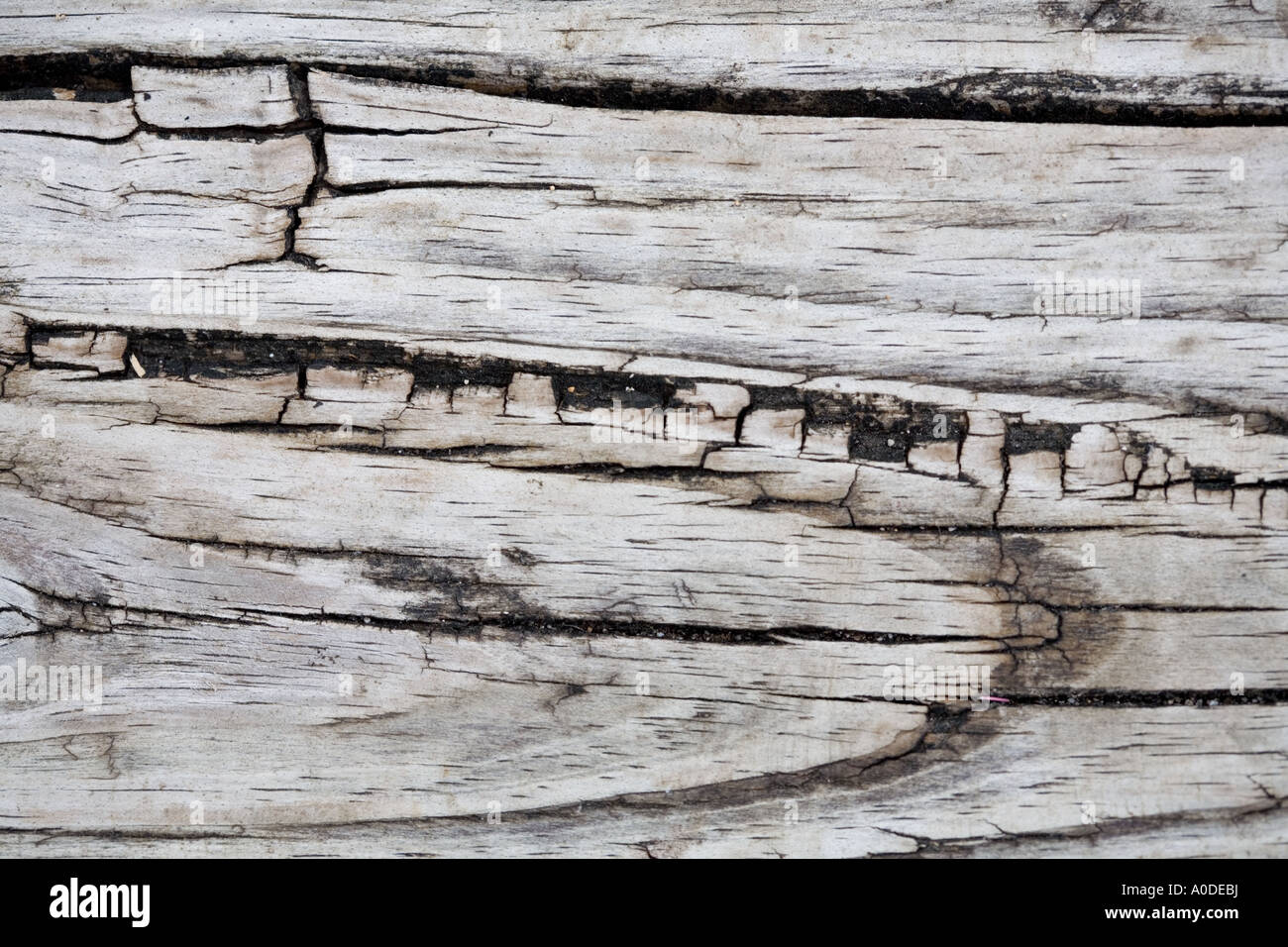Hintergrundtextur verwitterte Holz Beplankung Stockfoto