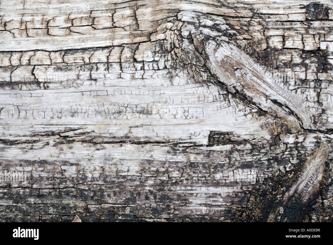 Hintergrundtextur verwitterte Holz Beplankung Stockfoto