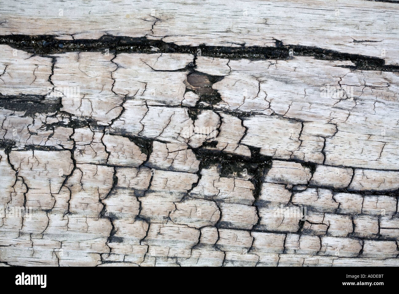 Hintergrundtextur verwitterte Holz Beplankung Stockfoto
