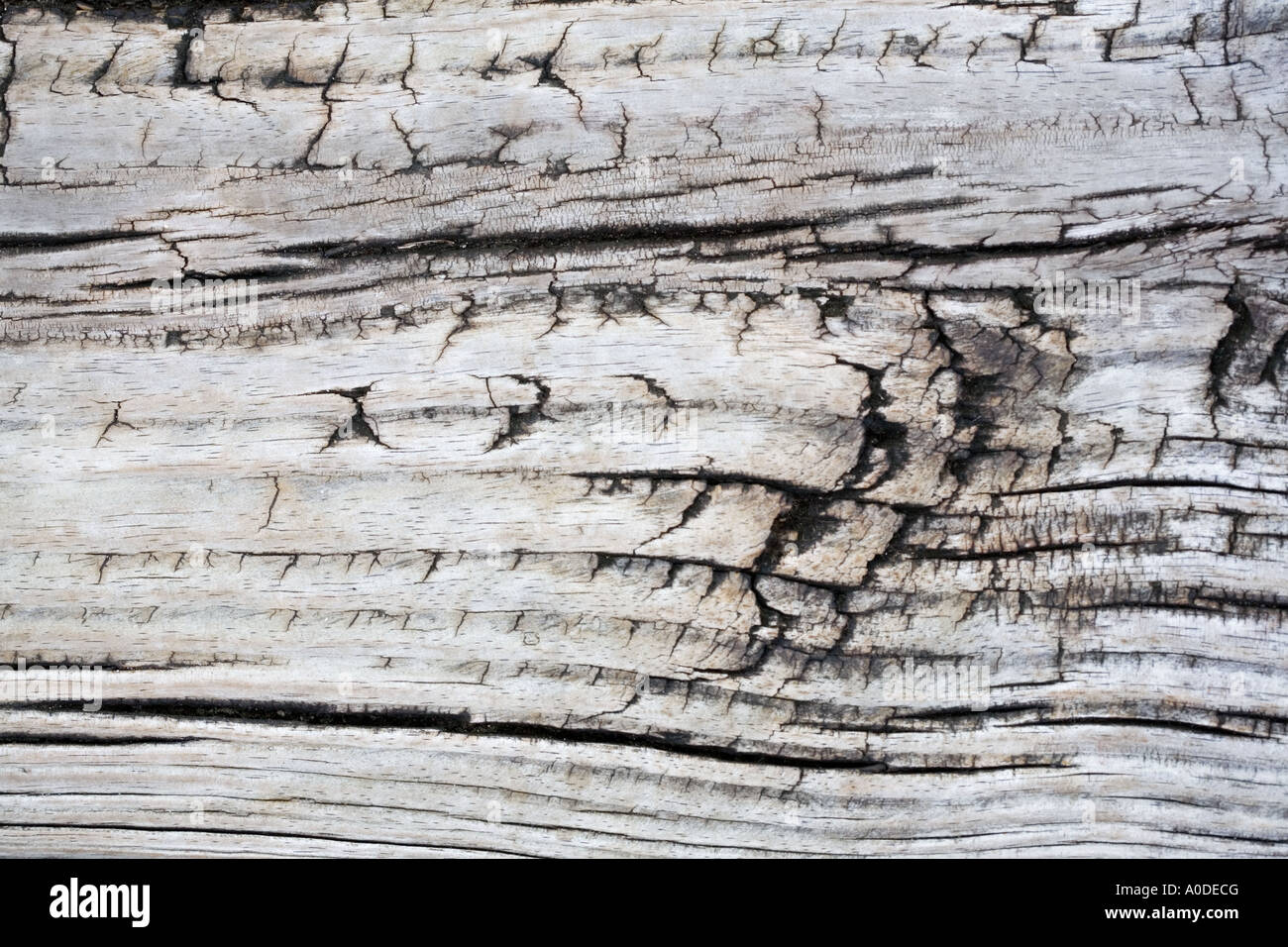 Hintergrundtextur verwitterte Holz Beplankung Stockfoto