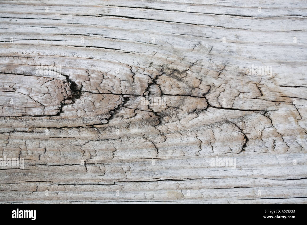 Hintergrundtextur verwitterte Holz Beplankung Stockfoto