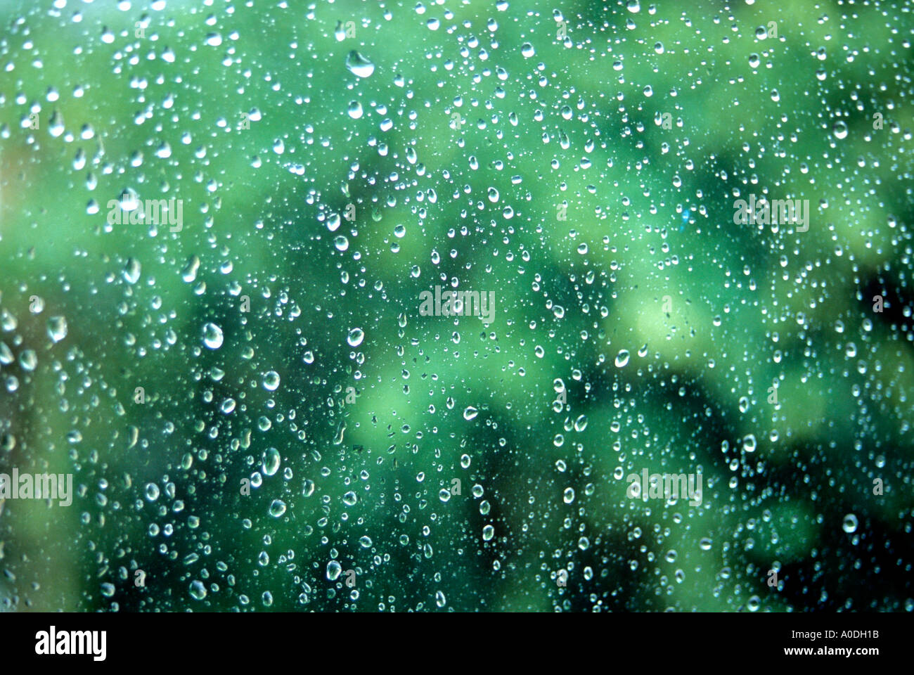 Blick aus dem Fenster an einem regnerischen Tag mit Regentropfen auf dem Glas Stockfoto
