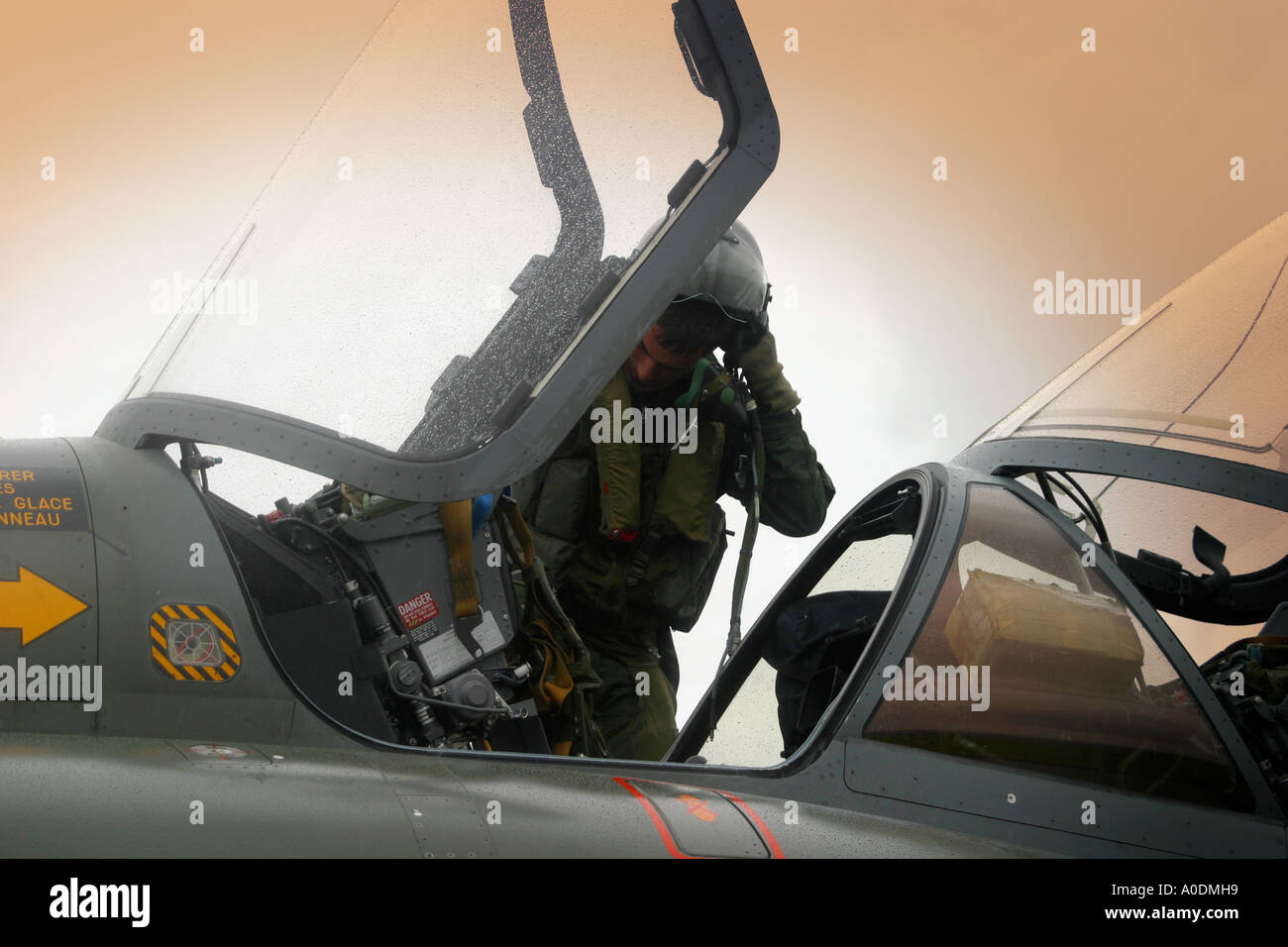 Kampfjet und Flugpersonal Stockfoto